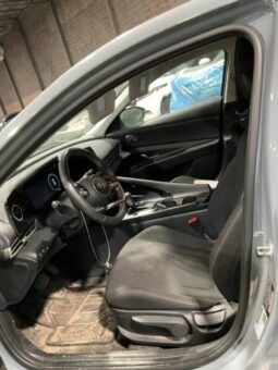 Salvaged Cars 2023 Hyundai Elantra