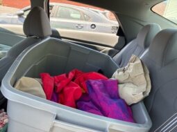 Salvaged Cars 2024 Hyundai Elantra