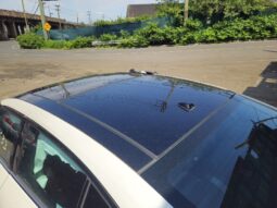 Salvaged Cars 2023 Nissan Maxima