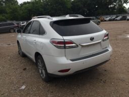 
										Salvaged Cars 2014 Lexus RX full									