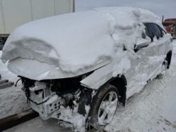 
										Salvaged Cars 2022 Lexus RX 350 full									