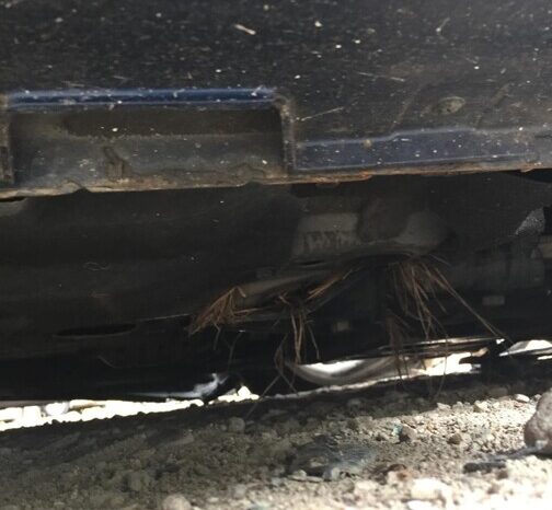 
								Salvaged Cars 2019 Hyundai Sonata full									