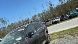 Salvaged Cars 2024 Nissan Pathfinder