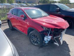 Salvaged Cars 2024 Lexus NX