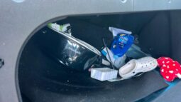 Salvaged Cars 2023 Kia Rio