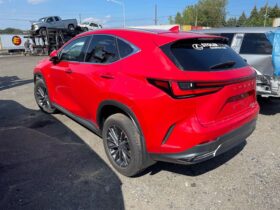 Salvaged Cars 2024 Lexus NXLexus