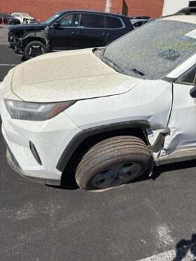 Salvaged Cars 2025 Toyota RAV4Toyota