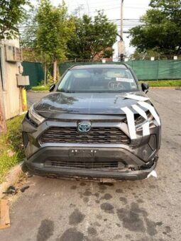 Salvaged Cars 2024 Toyota RAV4Toyota