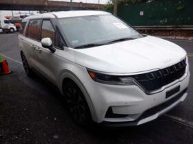 Salvaged Cars 2024 Kia CarnivalKia