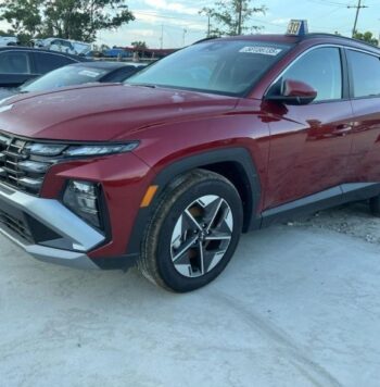Salvaged Cars 2025 Hyundai...