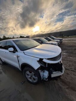 Salvaged Cars 2023 Kia SorentoKia