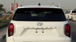 Hyundai Palisade Calligraphy panoramic,360 camera