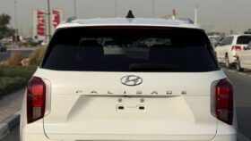 Hyundai Palisade Calligraphy panoramic,360 camera