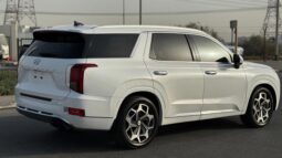 
										Hyundai Palisade Calligraphy panoramic,360 camera full									