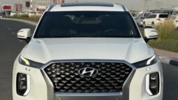 Hyundai Palisade Calligraphy panoramic,360 camera