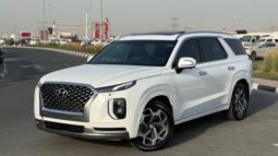 Hyundai Palisade Calligraphy panoramic,360 camera