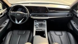 
										Hyundai Palisade Calligraphy panoramic,360 camera full									