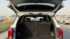 Hyundai Palisade Calligraphy panoramic,360 camera