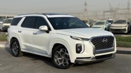 Hyundai Palisade Calligraphy panoramic,360 camera