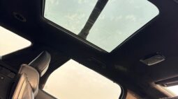 Hyundai Palisade Calligraphy Panoramic,360 camera,leather seats