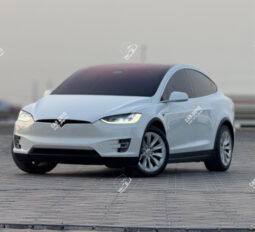
										Used Tesla Model X full									