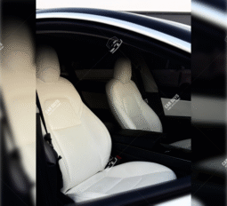 
										Used Tesla Model 3 Performance full									