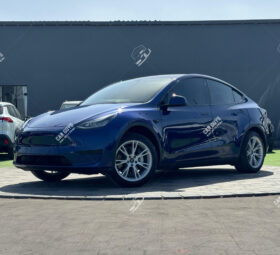Used Tesla Y Long Range