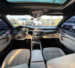 
										Used Audi Q8 E-tron full									