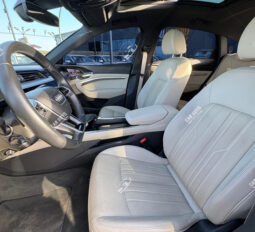 
										Used Audi Q8 E-tron full									